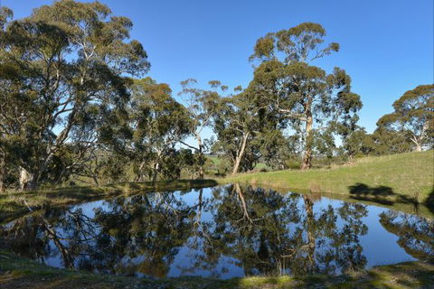 A Seascape Retreat - Accommodation Sunshine Coast 9